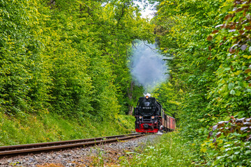 Mit Dampf durch das Selketal Harz Selketalbahn