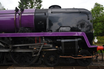 Obraz premium the taw valley re painted purple to celebrate the queens platinum jubilee traveling through Hampton Loade on its first trip since being re-named