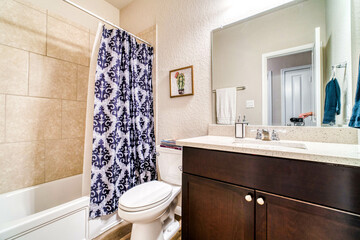 Home bathroom 