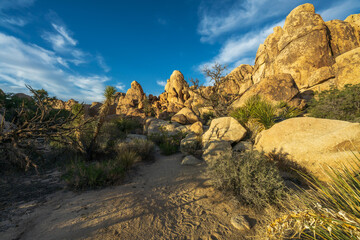 hiking the hidden valley nature trail in josua tree national park, california, usa