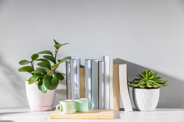 Peperomia magnoliifolia in a pink plastic pot, echeveria in a ceramic pot, a stack of books is on...