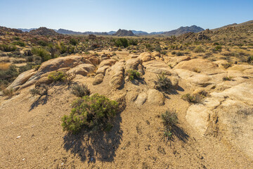 hiking the maze loop in joshua tree national park, california, usa