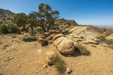 hiking the maze loop in joshua tree national park, california, usa