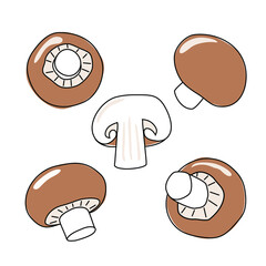 Champignon mushrooms vector illustration set. Freshly champignon. Ripe vegetable mushroom to eating, vegetarian gourmet. Concept Mushroom champignon.