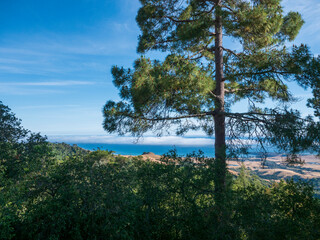 View of California Coastline from San Simeon