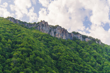 Fototapeta na wymiar marvelous scenic shot of a cliff and forest with green lush vegetation, Okatse, Georgia. High quality photo