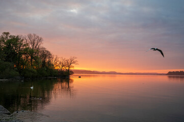 Fototapeta na wymiar Sunset by the lake with birds.
