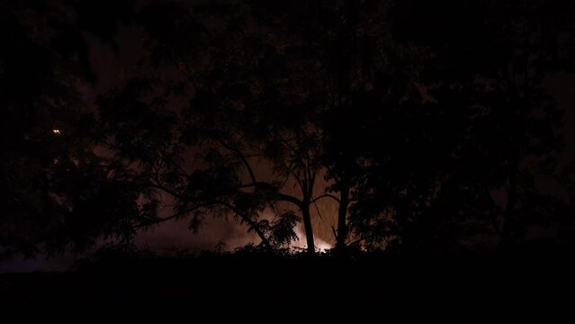 Silhouetted trees backlit by exploded transformer with bright flashing lights during a rainstorm on a cold wet rainy night in NJ