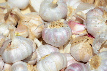 Selective focus of dried and peeled garlic in the tray at the market stall, Close up detail of garlic texture background, Garlic is a species in the onion genus.
