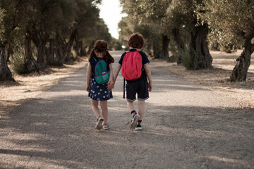 dos hermanos de la mano de vuelta al colegio con mochilas a través de un campo de olivos - obrazy, fototapety, plakaty