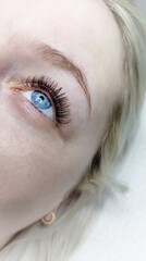 Eyelash extensions in beauty salon macro eye 