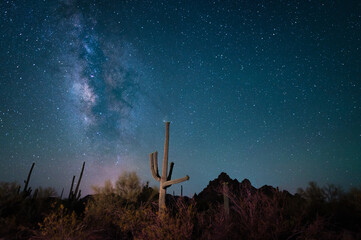 Breathtaking saguaro cactus in America's Southwest with Milky Way 