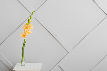 Vase with beautiful gladiolus flower near light wall