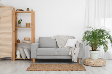 Interior of light living room with grey sofa, shelving unit and houseplants