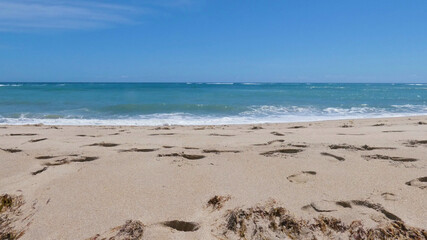 Sandy Florida Beach Ocean Waves Looking Out At The Horizon
