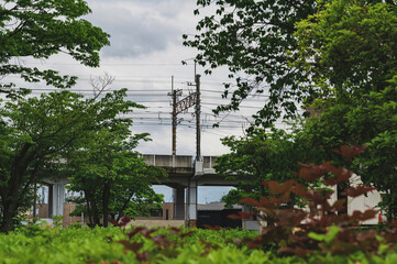 公園に隣接する高架鉄道