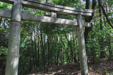 早尾神社の鳥居