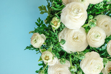 Ranunculus flowers on a blue background. Spring flowers bouquet.Floral delicate background