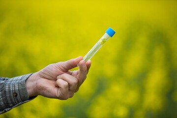 Holding flower sample in a tube on the field for chemical analysis test. Agrochemical analysis...