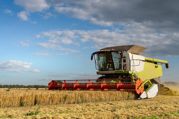 Combine harvester harvest rice wheat on a farm. Image of agriculture.