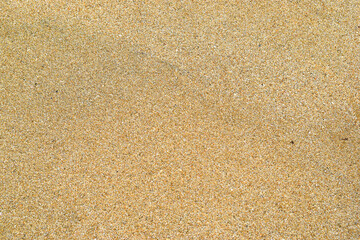 Fototapeta na wymiar Background with close-up photo of fine beach sand texture