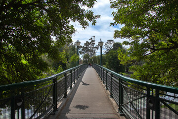 Fototapeta na wymiar Bridge with lanterns in a city park surrounded by green trees, cityscape