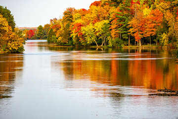 Colorful autumn trees reflecting off of the Wisconsin River in Merrill, Wisconsin - obrazy, fototapety, plakaty