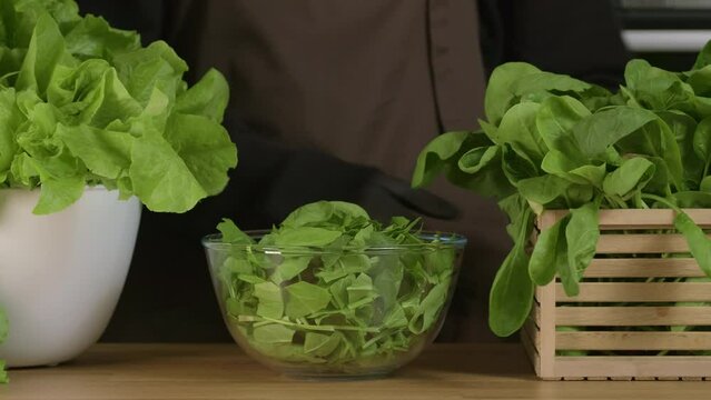 Spinach leaves. The cook cutting green spinach leaves and pours chopped spinach to the glass bowl. Making vegetable salad, cooking with greens, healthy food, vegetarian meal slow motion close-up
