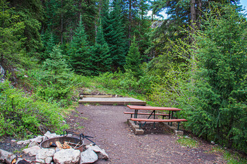 Campground with fire pit in forest