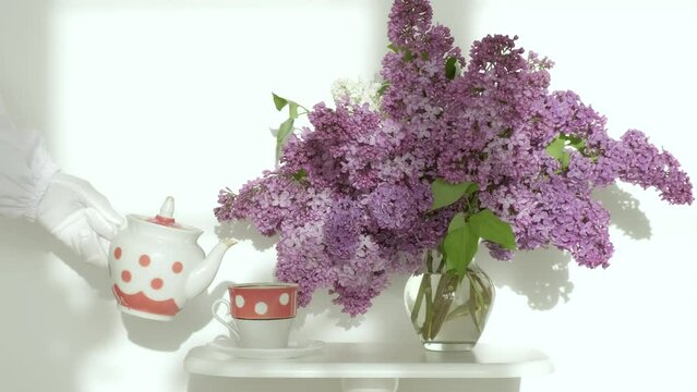 Tea being poured into tea cup. Unrecognizable person pouring hot black tea in cup in morning, vase with a lilac flowers near on table. Breakfast concept. White background, Close up, slow motion