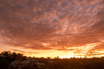 Suburban Sunrise