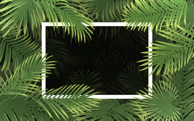 Bright tropical background with palm leaf