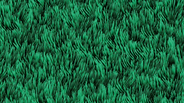 Black background.Design.Green and purple algae in abstraction move and sway.