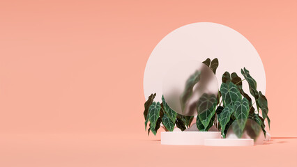 3D rendering image illustration of empty space podium display for product mockup natural background