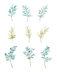 Aesthetic watercolor leaves clipart collection.
