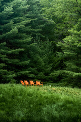 Chairs in a Forest