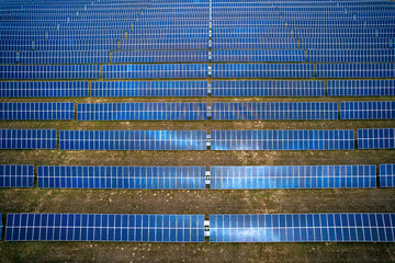Field of Solar Panels