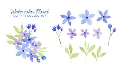 Isolated various watercolor flower clipart collection.