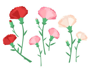 red, pink white carnation illustration set. flower, floral, isolated, leaf, mother's day. Vector drawing. Hand drawn style.