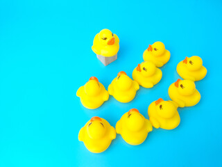 Group of toy ducks with leadder. Leadder and teamwork concept