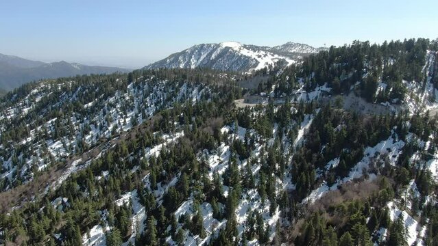 Winter Snow Forest Aerial Shot of San Bernardino Mountains Ski Trails L California USA