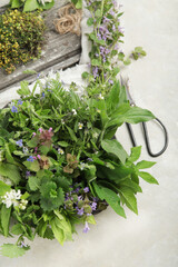 Edible plants and flowers on a light background.