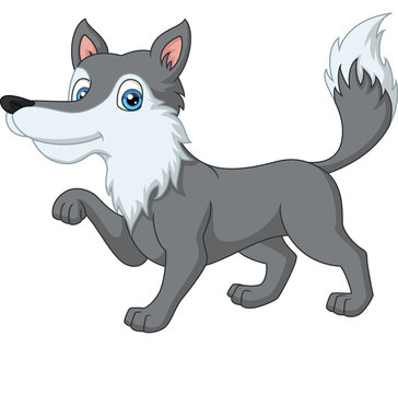 Cute wolf cartoon on white background