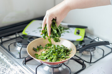Hands preparing ora-pro-nobis (Pereskia aculeata) in a frying pan, a popular edible plant in Brazil