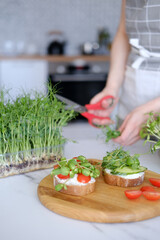 Woman preparing healthy sandwiches with microgreens and vegetables