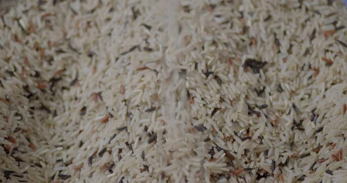 Close-up scene of mixed rice that has just been milled Including red jasmine rice, brown rice and riceberry rice.