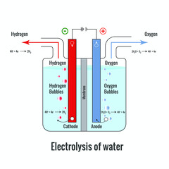 Electrolysis of water forming Hydrogen and Oxygen vector illustration