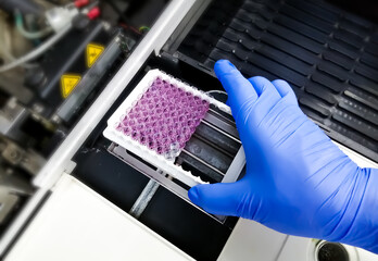 Scientist set Enzyme Linked Immunosorbent Assay or ELISA plate for taking optical density.
