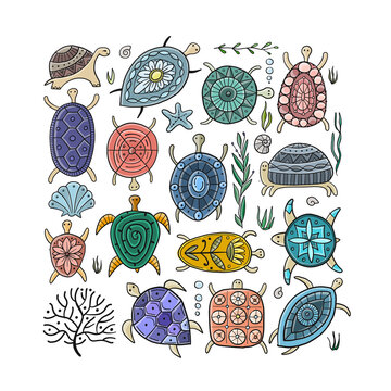 Turtles family. Tortoise background for your design