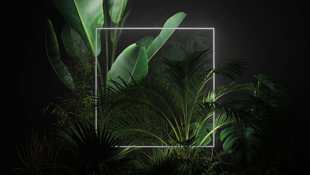 White Neon Light with Tropical Plants. Square shaped Fluorescent Frame in Nature Environment.